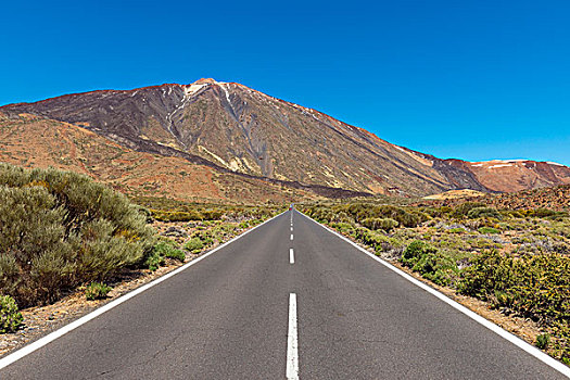 道路,泰德峰,山,公园,特内里费岛,加纳利群岛,西班牙