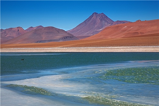 风景,冰冻,泻湖,火山,阿塔卡马沙漠,智利