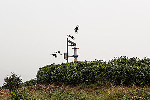 浙江杭州龙坞