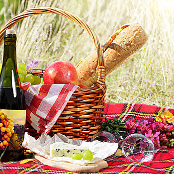 篮子,葡萄酒,奶酪,水果,野餐,概念