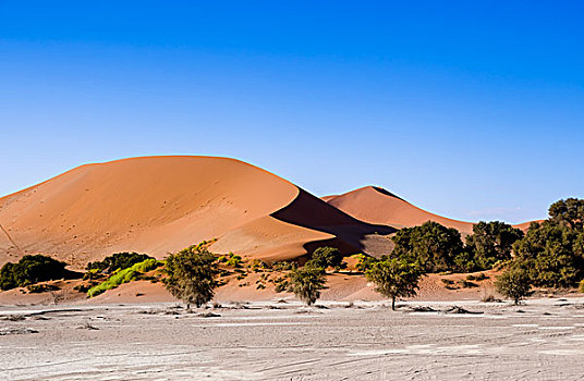 沙丘,边缘,纳米布沙漠,索苏维来地区,纳米比诺克陆夫国家公园,纳米比亚,非洲