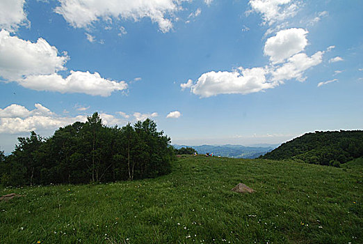 盛夏的百花山