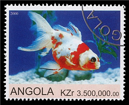 邮票,安哥拉,金鱼