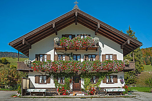 农舍,花,天竺葵,上巴伐利亚,巴伐利亚,德国,欧洲