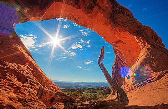 arches,national,park,utah,usa