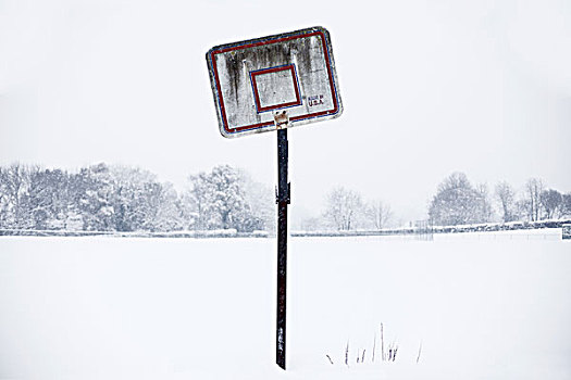 篮篮,雪中