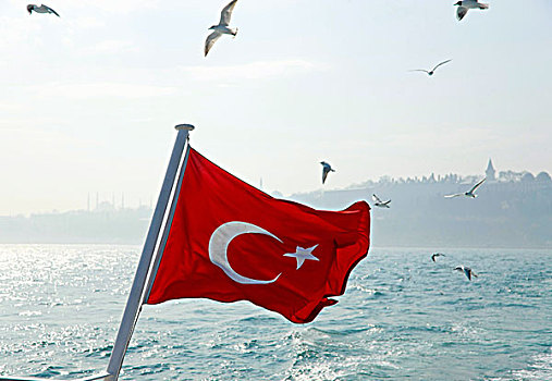 海鸥,飞跃,土耳其,旗帜
