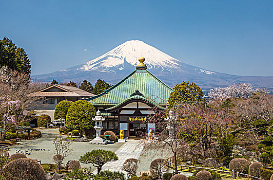 日本,城市,庙宇,富士山