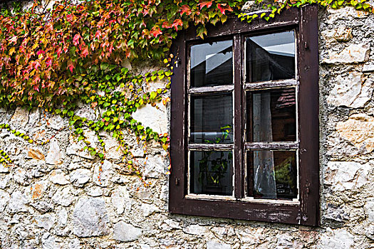 常春藤,窗户,乡村,十六湖国家公园,克罗地亚,大幅,尺寸