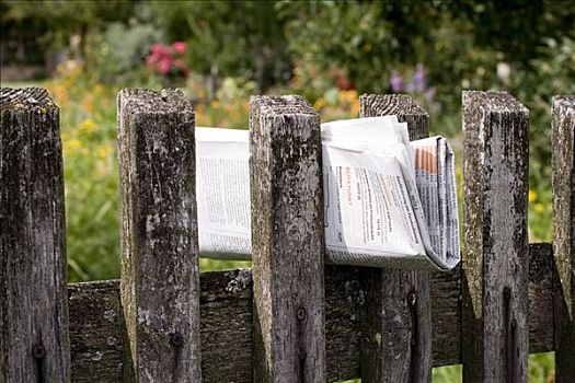 风化,木篱,花园,农场,报纸,南方,莱茵兰普法尔茨州,德国