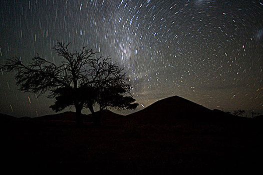 纳米比亚,纳米比诺克陆夫国家公园,星迹,高处,刺槐,纳米布沙漠,靠近,索苏维来地区