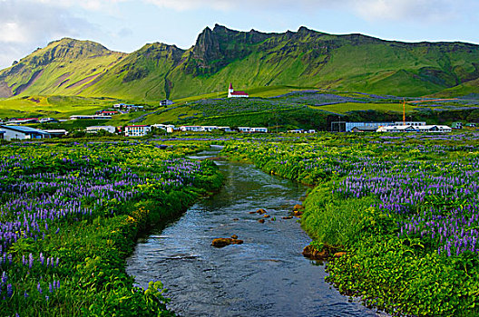 冰岛,南,河流,海滩