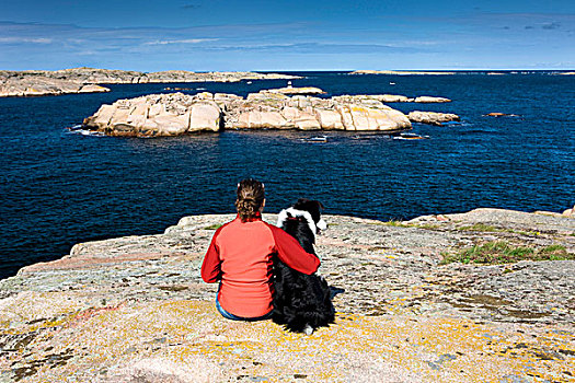 女孩,边界,柯利犬,看,上方,群岛,海岸,瑞典,斯堪的纳维亚,欧洲