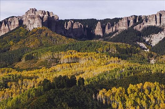 山峰,白杨,秋色,安肯帕格里国家森林,科罗拉多,美国