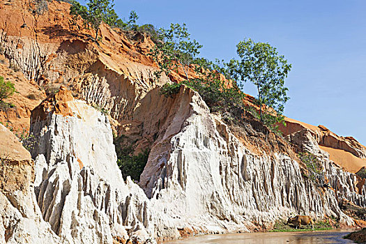 越南,美尼,红色,峡谷