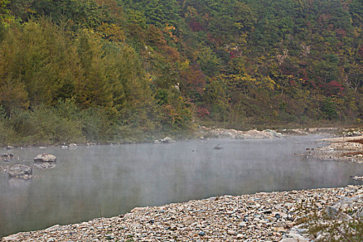 湖,水面,雾气,蒸腾,白雾,水蒸气,缥缈,仙境,灵性,家禽,鸭子,鹅,游动,自在,安静,自然,风光