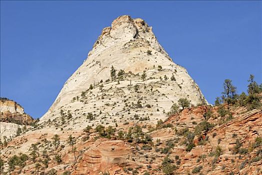 石头,锥形,锡安山,攀升,焦糖,公路,锡安国家公园,犹他,美国