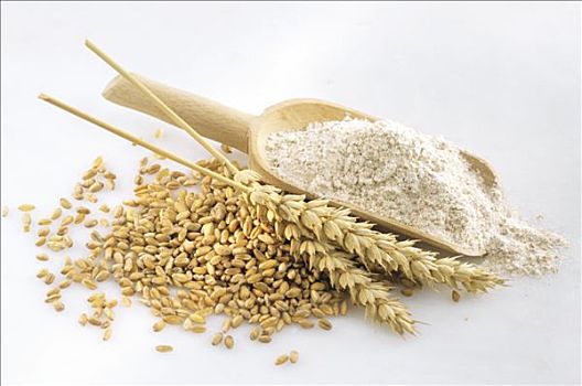 谷物,小麦,穗,小麦粉