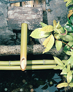 竹子,水管,日式庭园