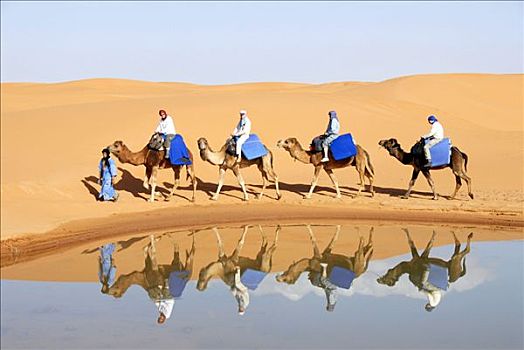 四个,骆驼,骑手,镜子,水中,却比沙丘,梅如卡,摩洛哥