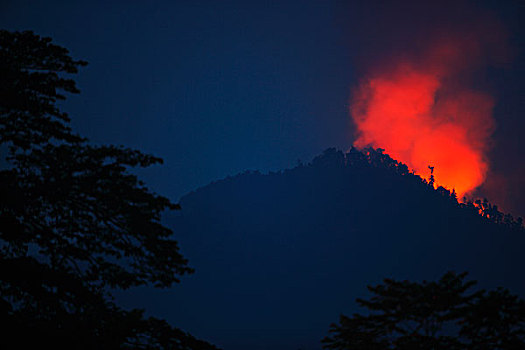 森林火灾,古农列尤择国家公园,苏门答腊岛,印度尼西亚