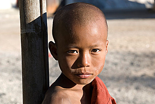 缅甸,巴格,肖像,年轻,僧侣,红色