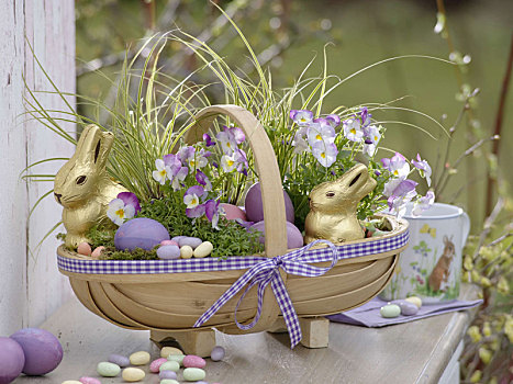 木篮,复活节礼筐,复活节巧克力兔,复活节彩蛋,苔属植物,堇菜属