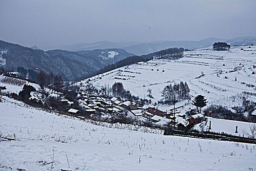 雪乡,雪村,吉林,临江市,村庄,山村,乡村,冬季,雪野,寒冷,农家,接待,旅游,松岭,东北,风情