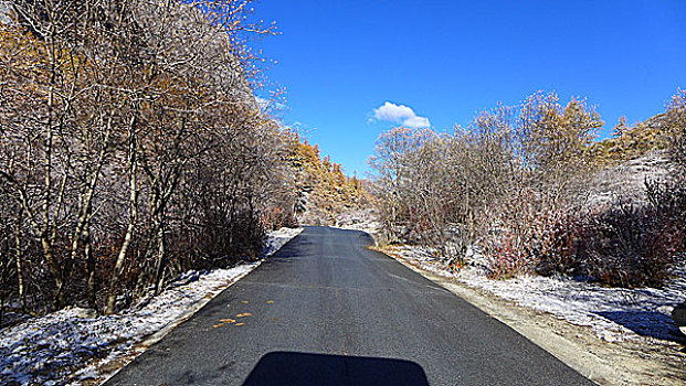 景区公路