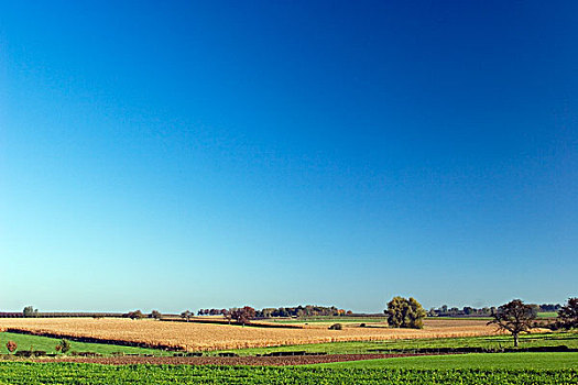 农业,地点,林堡,荷兰