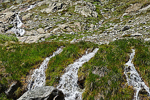 冰河,水,草,阿尔卑斯山,伯恩高地,瑞士