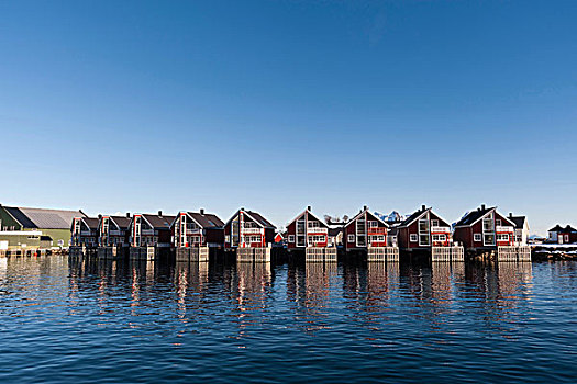 排,水岸,房子,罗浮敦群岛,挪威