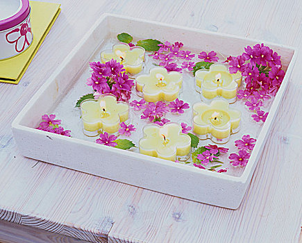 樱草属植物,花,浮水蜡烛,盘子