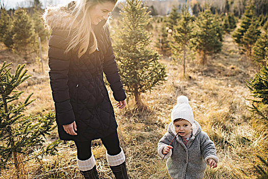 母亲,婴儿,女孩,圣诞树园,安大略省,加拿大