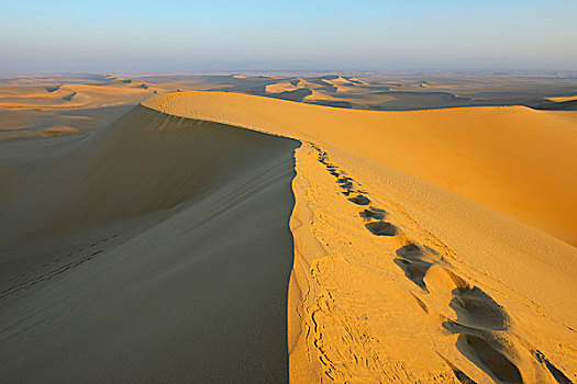 风景,脚印,沙丘,沙子,海洋,利比亚沙漠,撒哈拉沙漠,埃及,北非