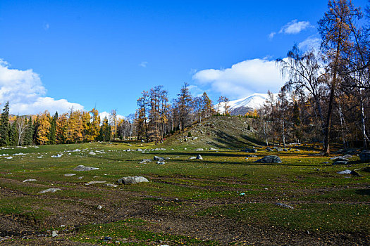 西北第一村白哈巴村秋日盛景