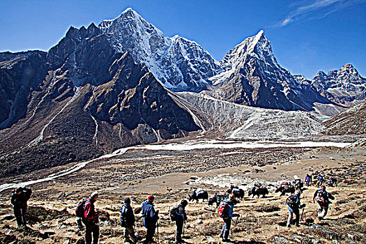 尼泊尔,珠穆朗玛峰,区域,昆布,山谷,长途旅行者,搬运工,小路,挨着