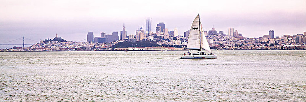 帆船,旧金山,天际线,湾,加利福尼亚,美国