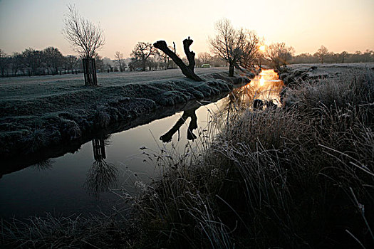 日出,上方,溪流,霜,里士满,公园,伦敦,英国