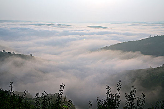 雾景