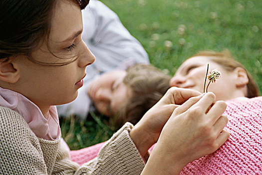 女孩,看,苜蓿花,母亲,兄弟,躺着,草,背景