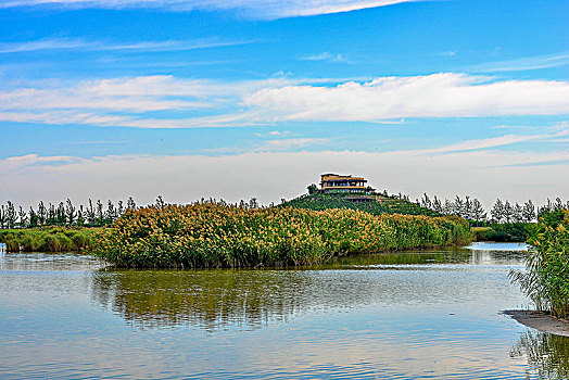 宁夏回族自治区,沙湖景观