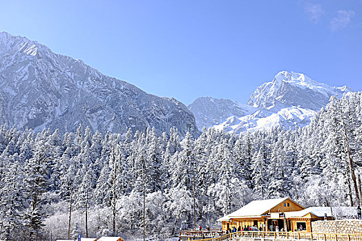 中国四川泸定县磨西镇贡嘎山海螺沟冰川雪山美景,beautiful,scenery,snow,mountain,glacier,hailuogou,gongga,moxi,luding,sichuan