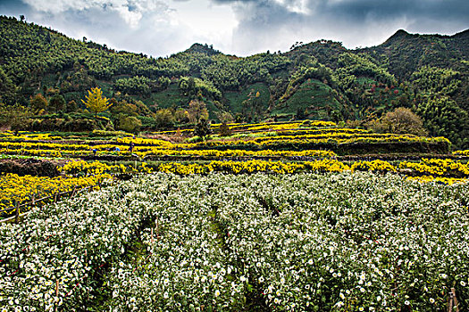 安徽黄山市黟县风光