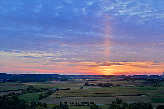 日落,在,农业领域,上普法尔茨,巴伐利亚,德国