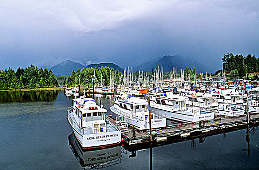 船,停靠,码头,温哥华岛,不列颠哥伦比亚省,加拿大