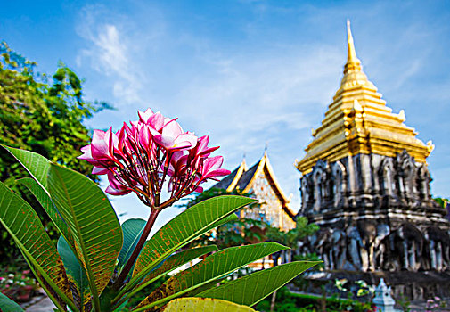 漂亮,庙宇,清迈,泰国
