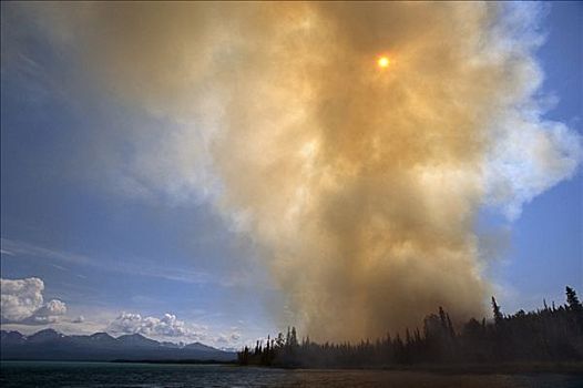 烟,森林火灾,太阳,基奈,野生动植物保护区,阿拉斯加