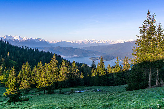 德国,巴伐利亚,巴伐利亚阿尔卑斯山,瓦尔幸湖,清晨,风景
