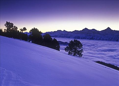 山,高山,冬天,日出,雾,山谷,伯恩,瑞士,欧洲